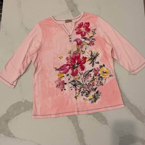 Blue Canyon Tops - Y2K Blue Canyon Henley Top Women’s 1X Pink Floral Bird Print Rhinestone V Neck